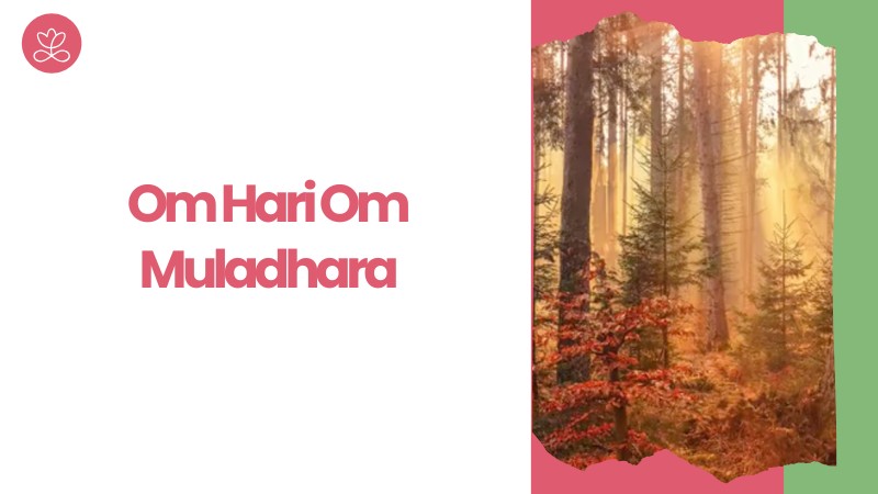 31 - Om Hari Om Muladhara avec Patrick Bernard